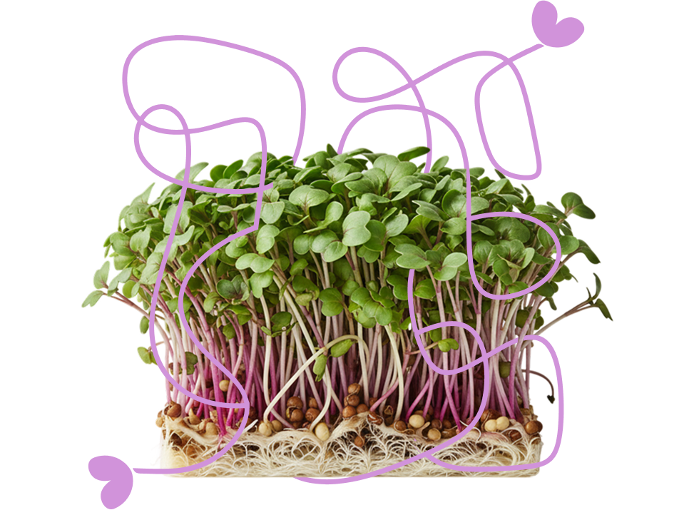 Kale Velvet