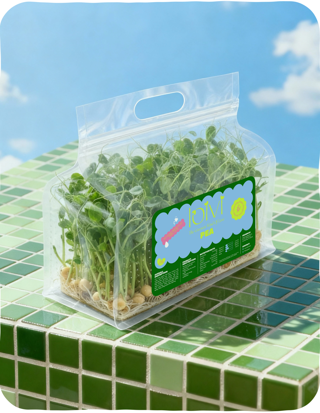 Pea Tendril Sweet
