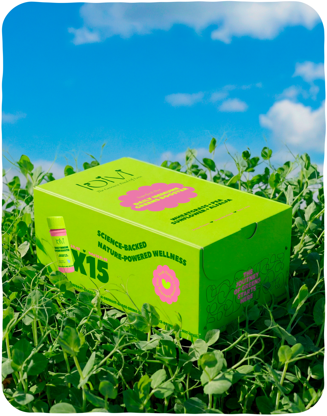 Daily Immune Greens Booster
